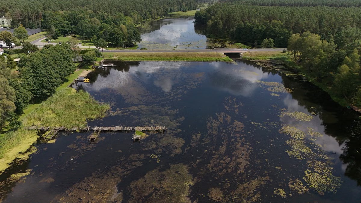 A stunning aerial shot of a peaceful lake surrounded by lush forests under a clear sky.
